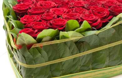 Similar image 294806