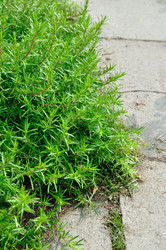 Similar image 294819