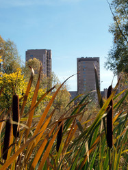 Similar image 294852