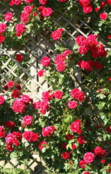 Similar image 294856