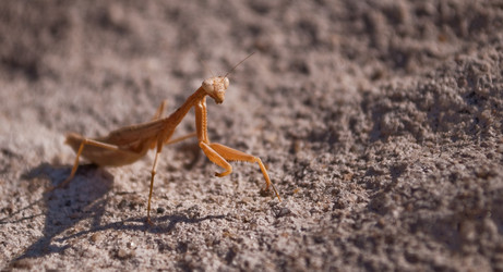 Similar image 294857