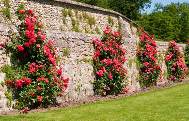 Similar image 294861