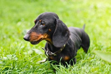 Similar image 294865