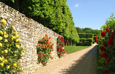 Similar image 294866