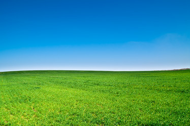 Similar image 294905