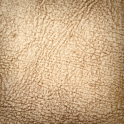 Similar image 294908