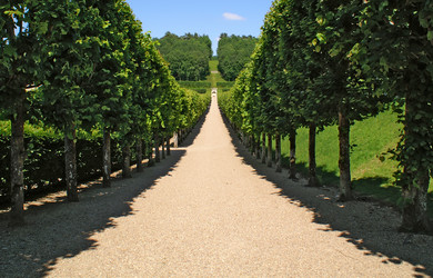 Similar image 294910