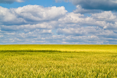 Similar image 294923