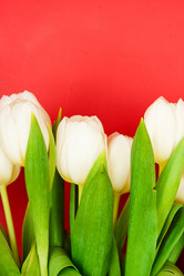 Similar image 294970