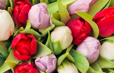 Similar image 294971