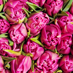 Similar image 294972