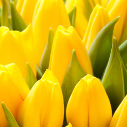 Similar image 294973