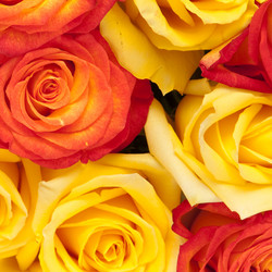 Similar image 294974