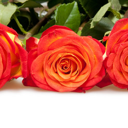 Similar image 294975