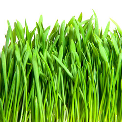 Similar image 294980