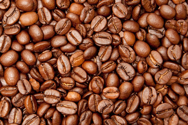 Similar image 294982