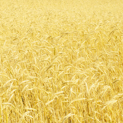 Similar image 294999