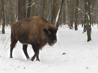 Similar image 295039