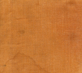 Similar image 295041