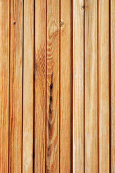 Similar image 295079