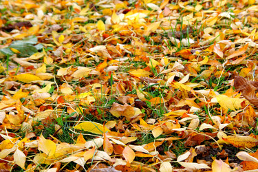 Similar image 295097