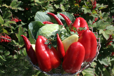 Similar image 295145