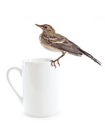 Similar image 295169