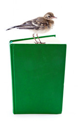 Similar image 295174