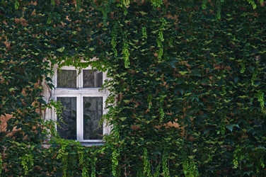 Similar image 295183