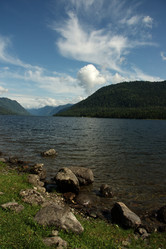 Similar image 295194