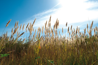 Similar image 295201