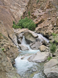 Similar image 295204