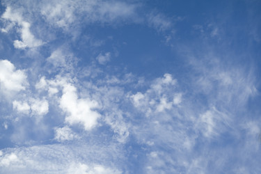 Similar image 295209