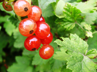 Similar image 295352