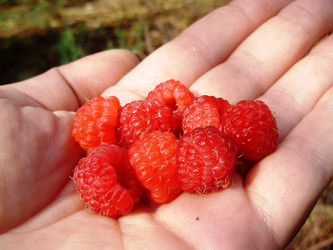 Similar image 295366