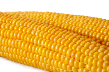 Similar image 295393