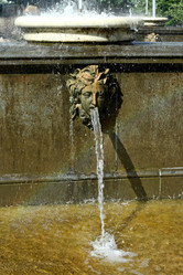 Similar image 295402