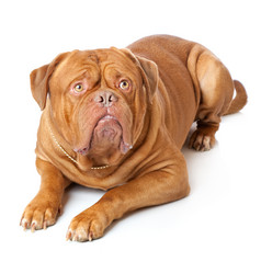 Similar image 295463