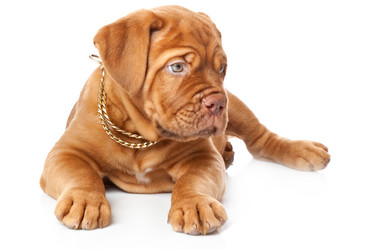 Similar image 295464