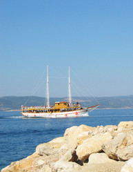 Similar image 295478