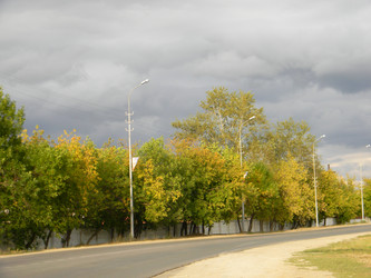 Similar image 295481