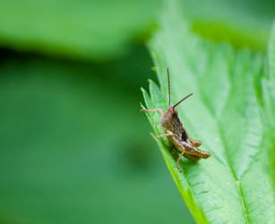 Similar image 295490