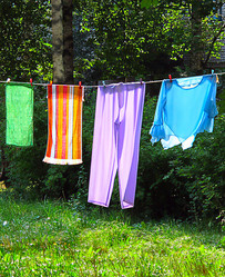 Similar image 295567