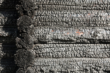 Similar image 295573