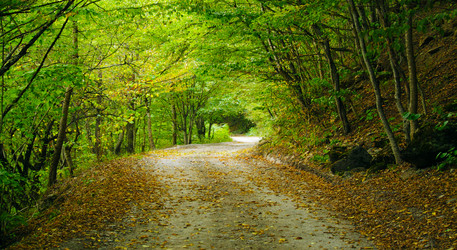 Similar image 295589