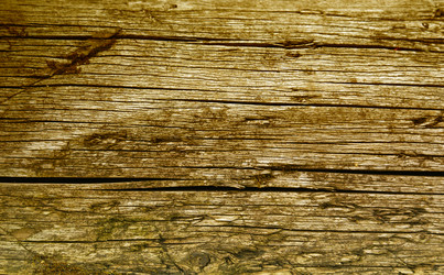 Similar image 295624