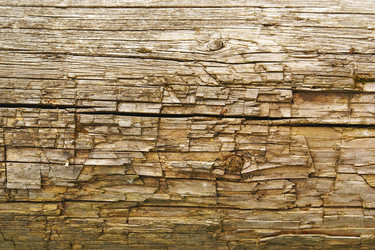 Similar image 295627