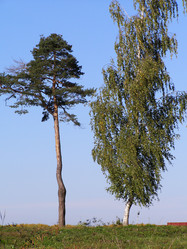 Similar image 295662