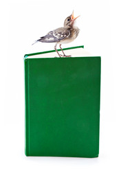 Similar image 295679