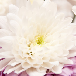 Similar image 295785